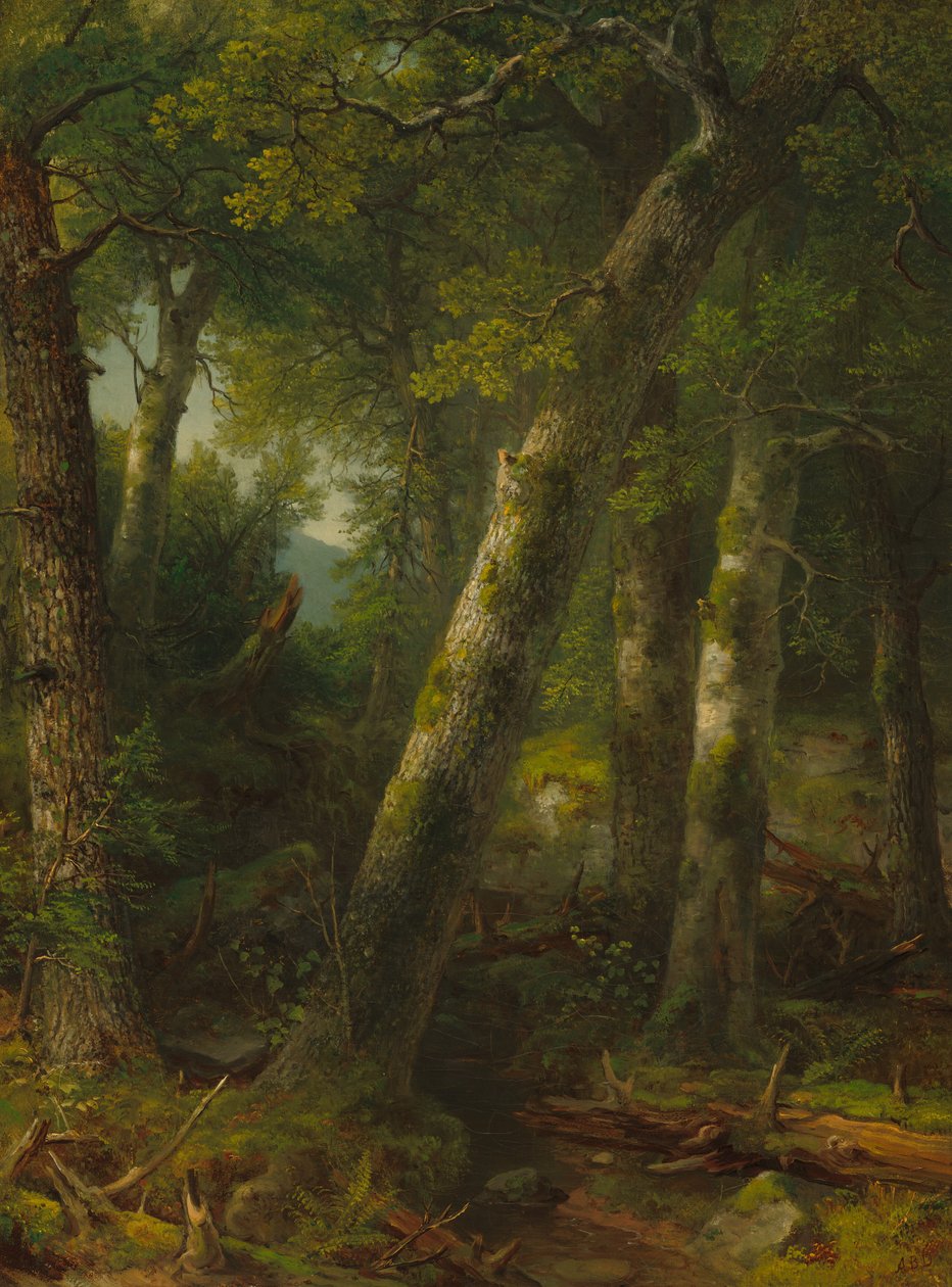 Wald im Morgenlicht, ca. 1855 von Asher Brown Durand