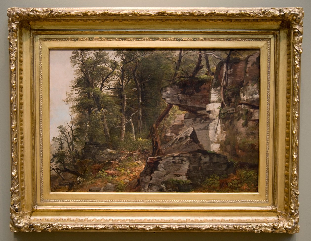 Bäume auf einem felsigen Hügel, ca. 1849 von Asher Brown Durand