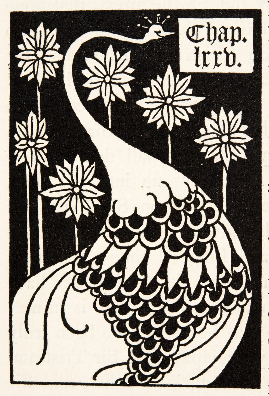 Pfau, Kapitelüberschrift von Aubrey Beardsley