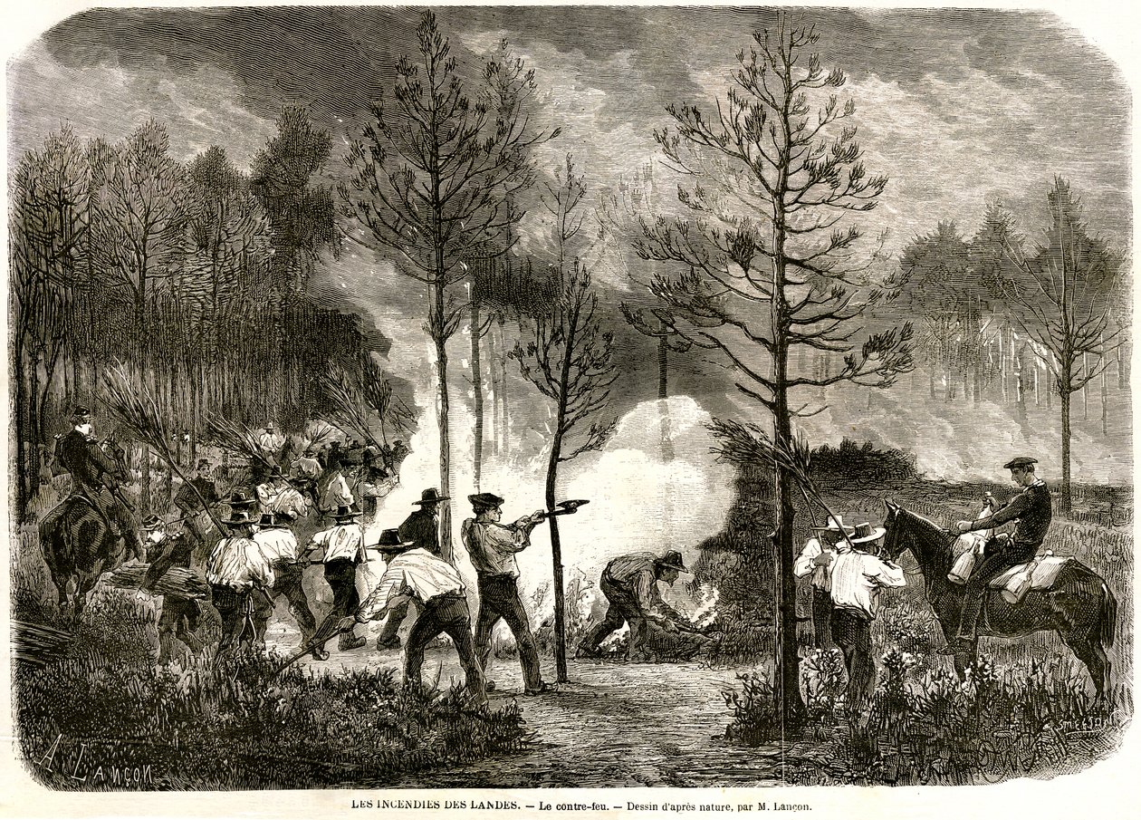 Der große Brand der Landes, das Gegenfeuer von Auguste Andre Lancon