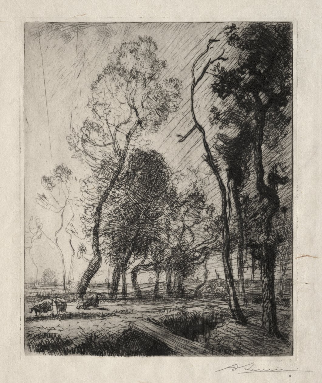 Sonnenuntergang hinter den Bäumen von Auguste Louis Lepère