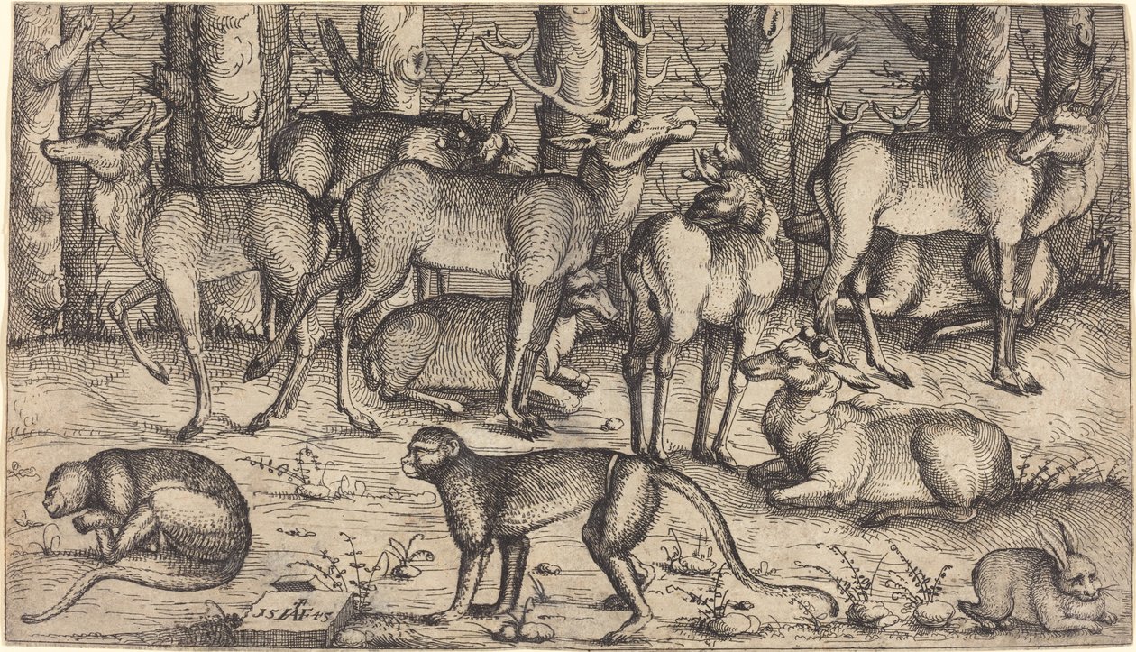 Hirsche im Wald von Augustin Hirschvogel