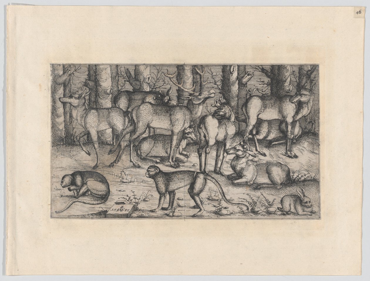 Hirsche im Wald, 1545 von Augustin Hirschvogel