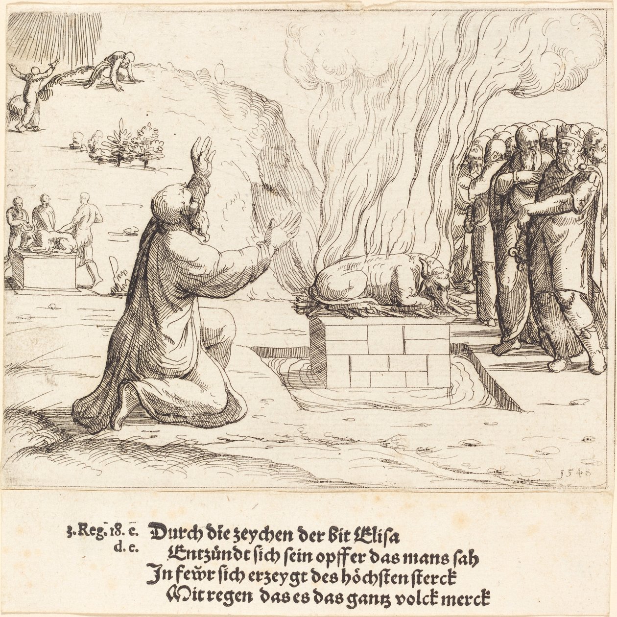 Die rivalisierenden Opfer von Elija und den Priestern des Baal von Augustin Hirschvogel