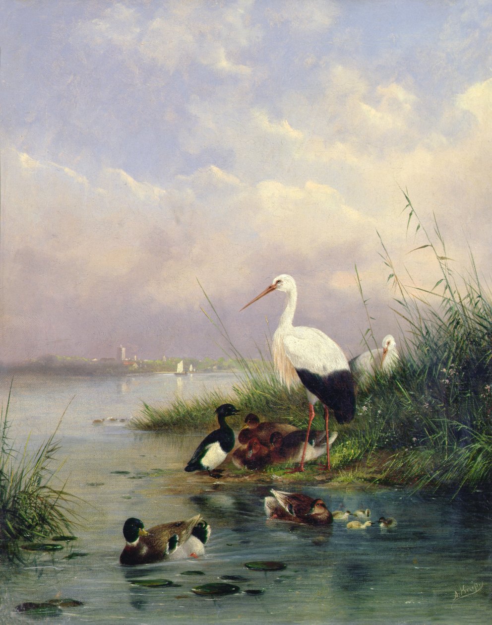 Eine Familie von Stockenten, zwei Störche und eine Familie von Reiherenten von Augustus Knip