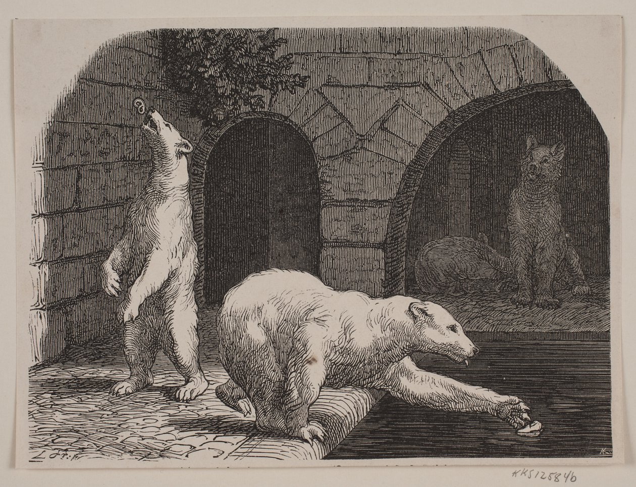 Bären im Jardin des Plantes von Axel Theodor Kittendorff