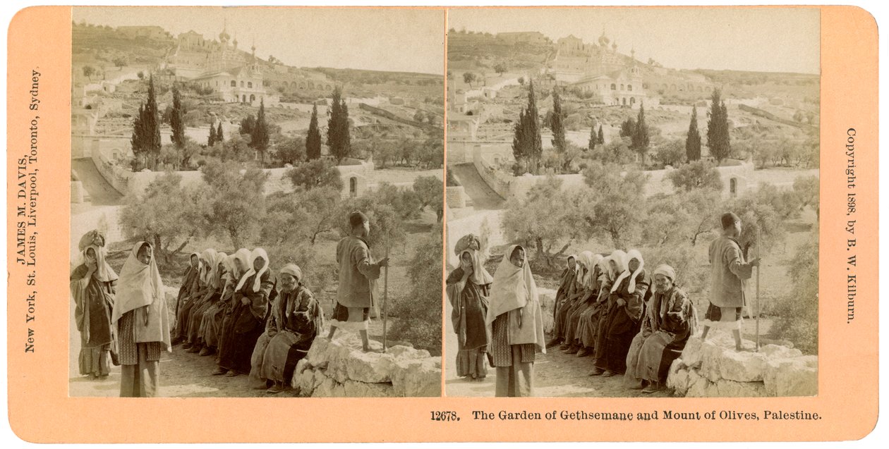 Der Garten Gethsemane und der Ölberg, Palästina, 1898 von B. W. Kilburn