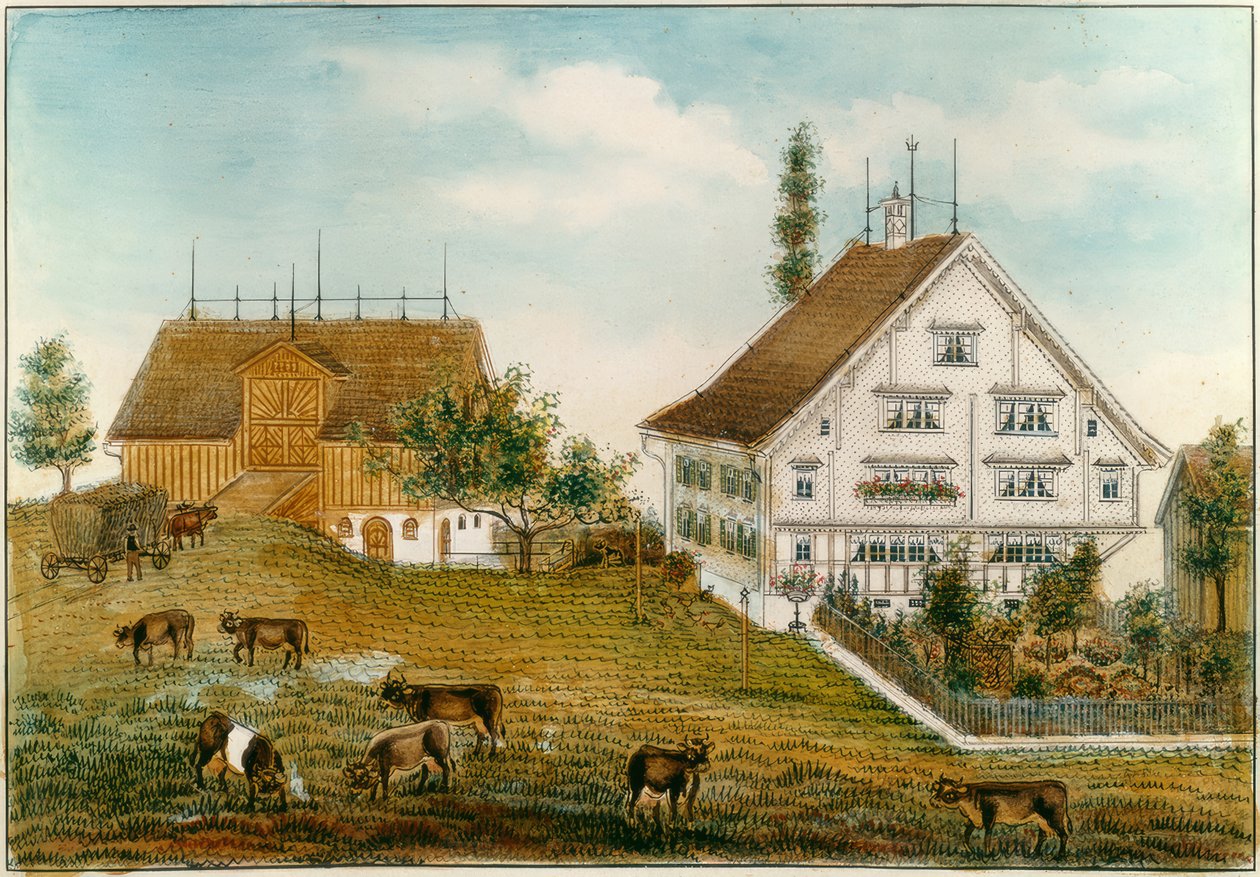 Bülers Anwesen in Oetschwil von Babeli Giezendanner