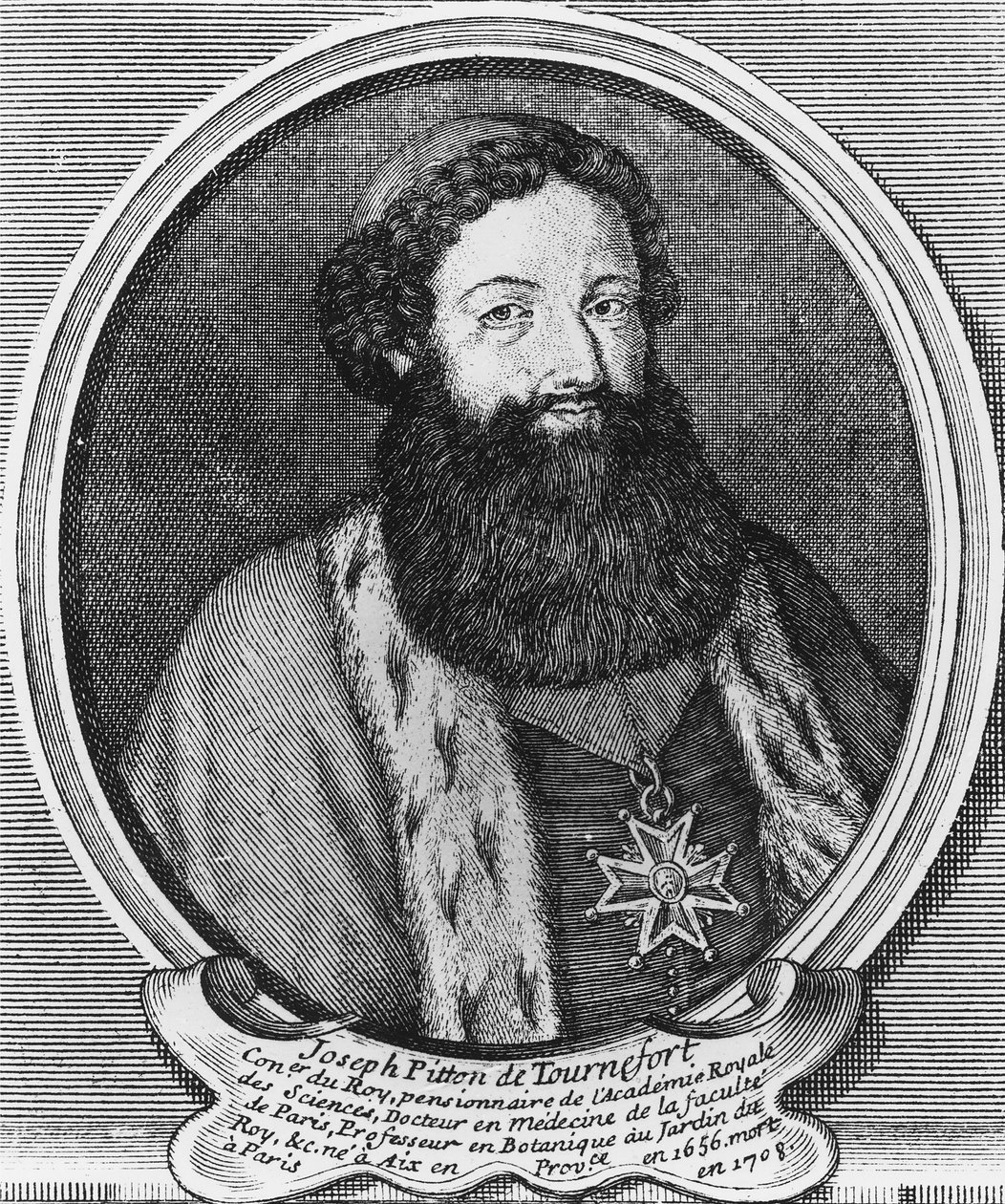 Joseph Pitton de Tournefort Gravur von Baptistin Martin