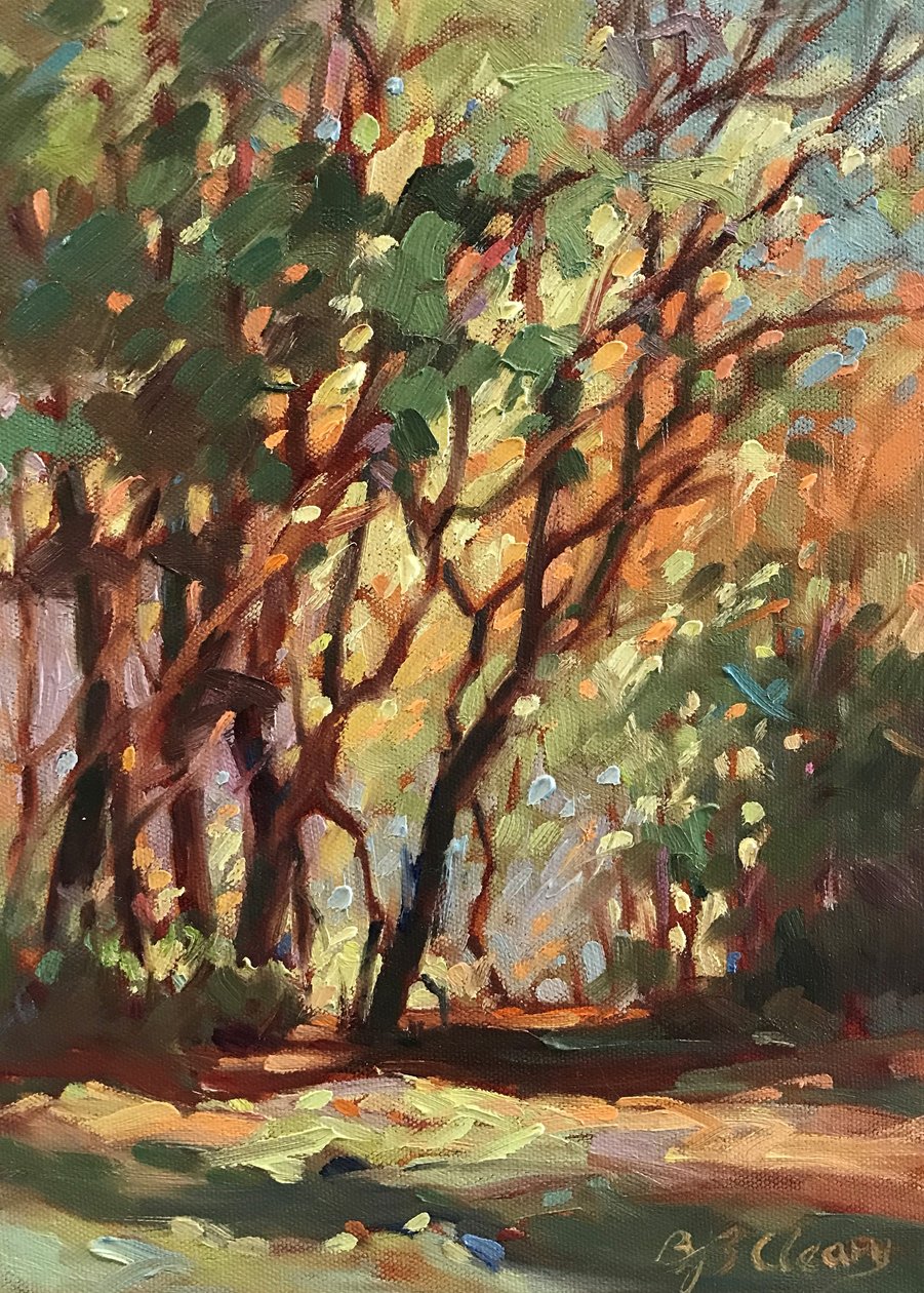 Schattenweg von Barbara Cleary