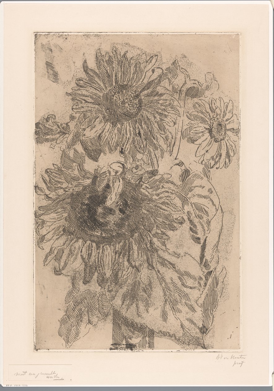 Drei Sonnenblumen in einer Vase von Barbara Elisabeth van Houten (signed by artist)