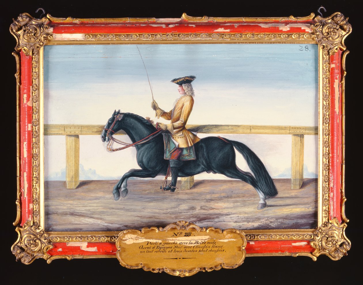 Ein schwarzes spanisches Pferd der Spanischen Hofreitschule bei einer Dressurbewegung von Baron Reis Eisenberg