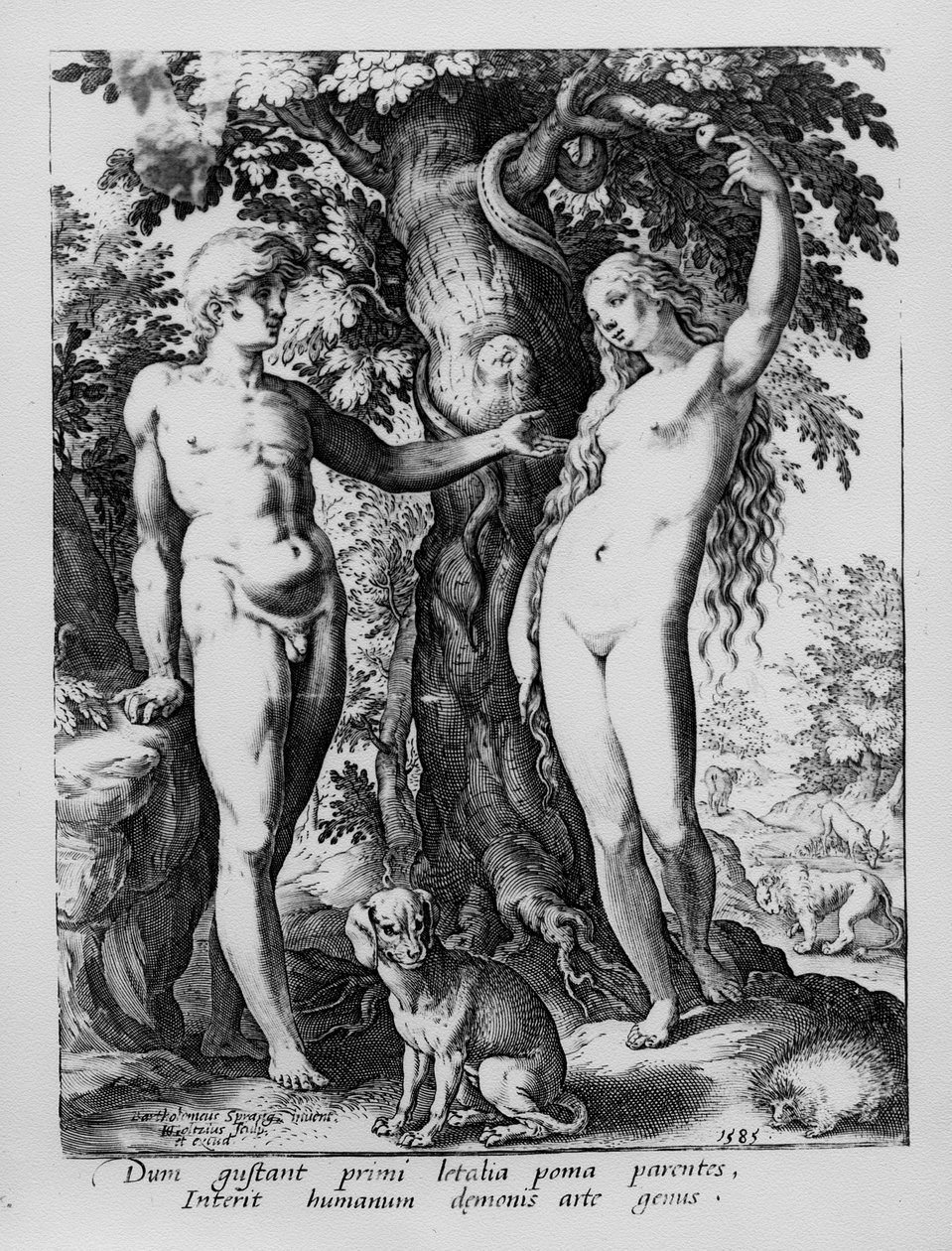 Adam und Eva, graviert von Hendrik Goltzius, 1585 von Bartholomaeus Spranger