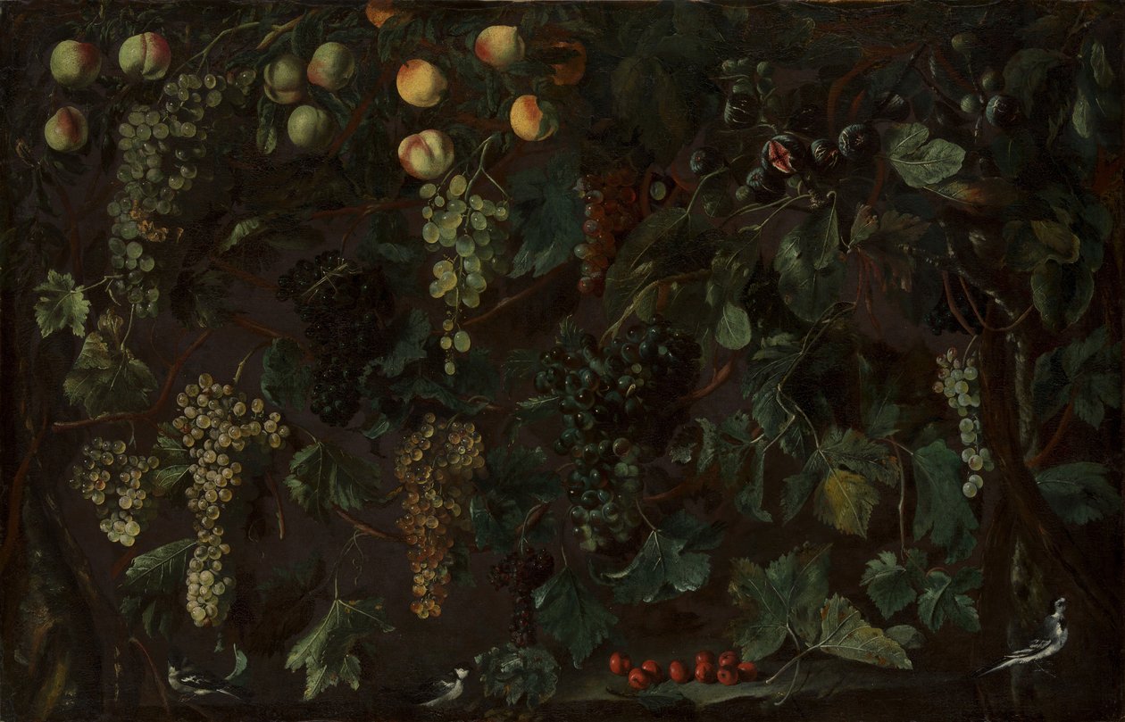 Weinreben und Früchte, mit drei Bachstelzen von Bartolomeo Cavarozzi