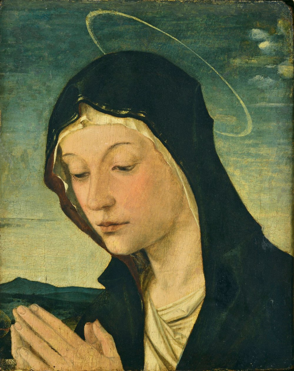 Kopf und Hände einer anbetenden Madonna (Fragment), ca. 1477-78 von Bartolomeo Montagna