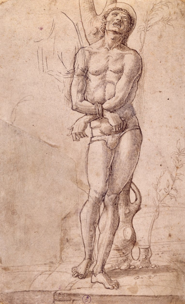 Heiliger Sebastian, ca. 1475, Zeichnung von Bartolomeo Montagna (ca. 1450-1523), Feder und braune Tinte, mit brauner Lavierung, 20x15 cm, Italien von Bartolomeo Montagna