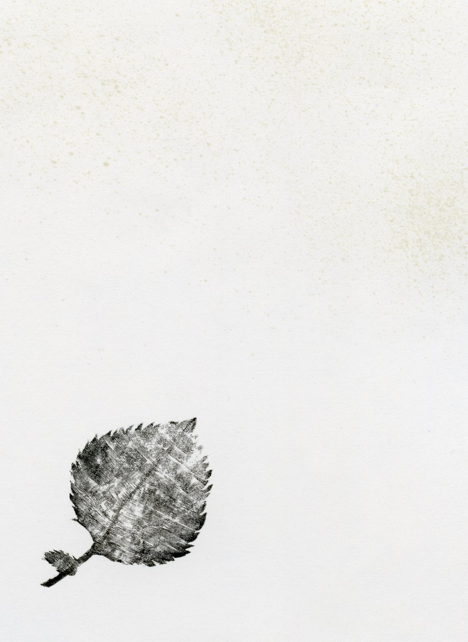 Blatt {Fay-erie Dust}, 2014 von Bella Larsson