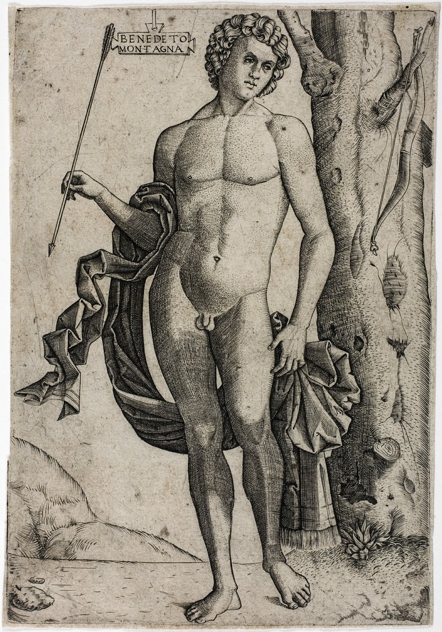 Ein junger Mann mit einem Pfeil von Benedetto Montagna