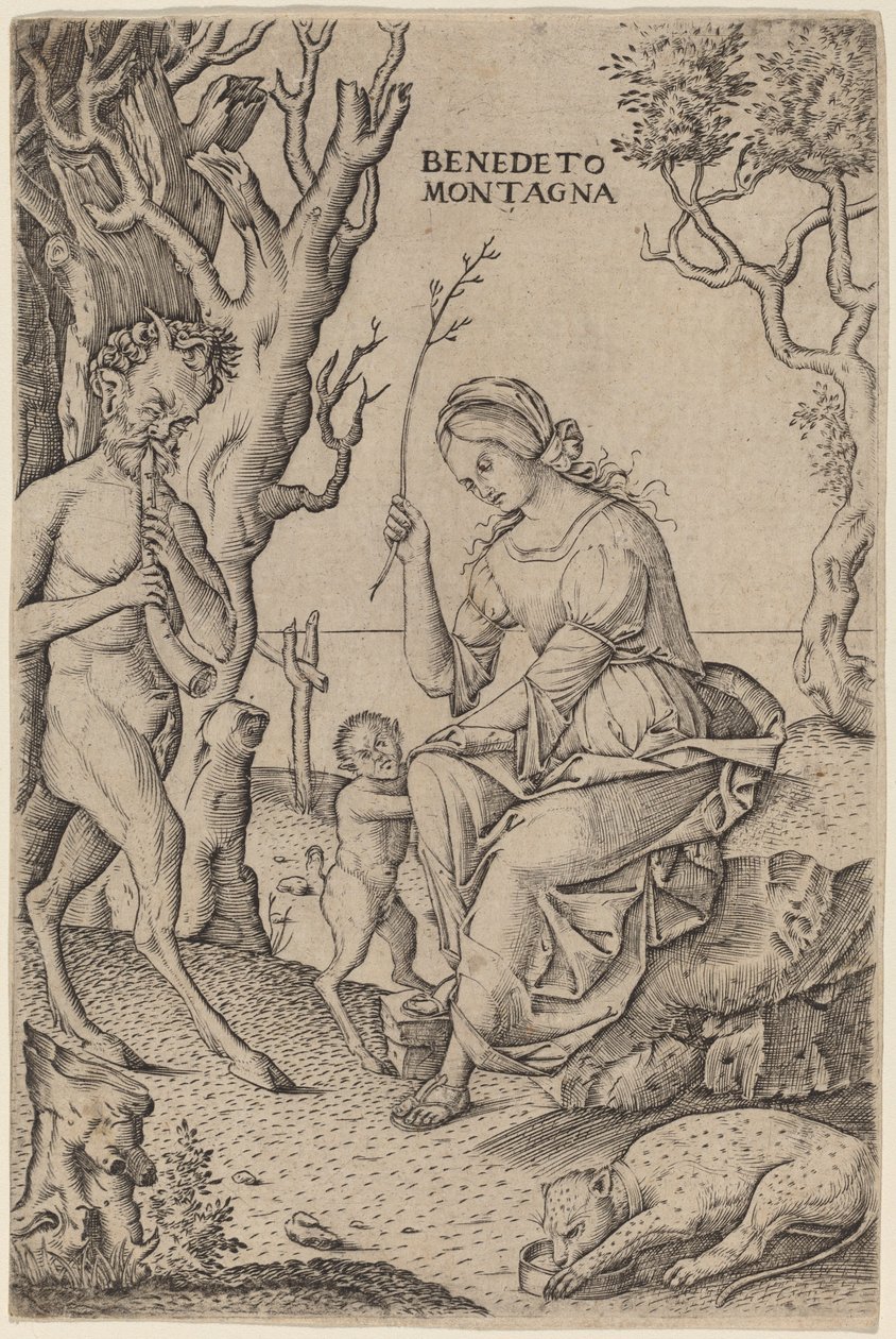 Satyrfamilie von Benedetto Montagna