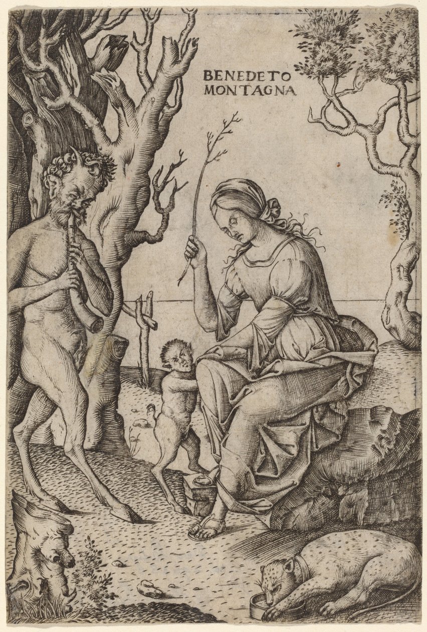 Satyrfamilie von Benedetto Montagna