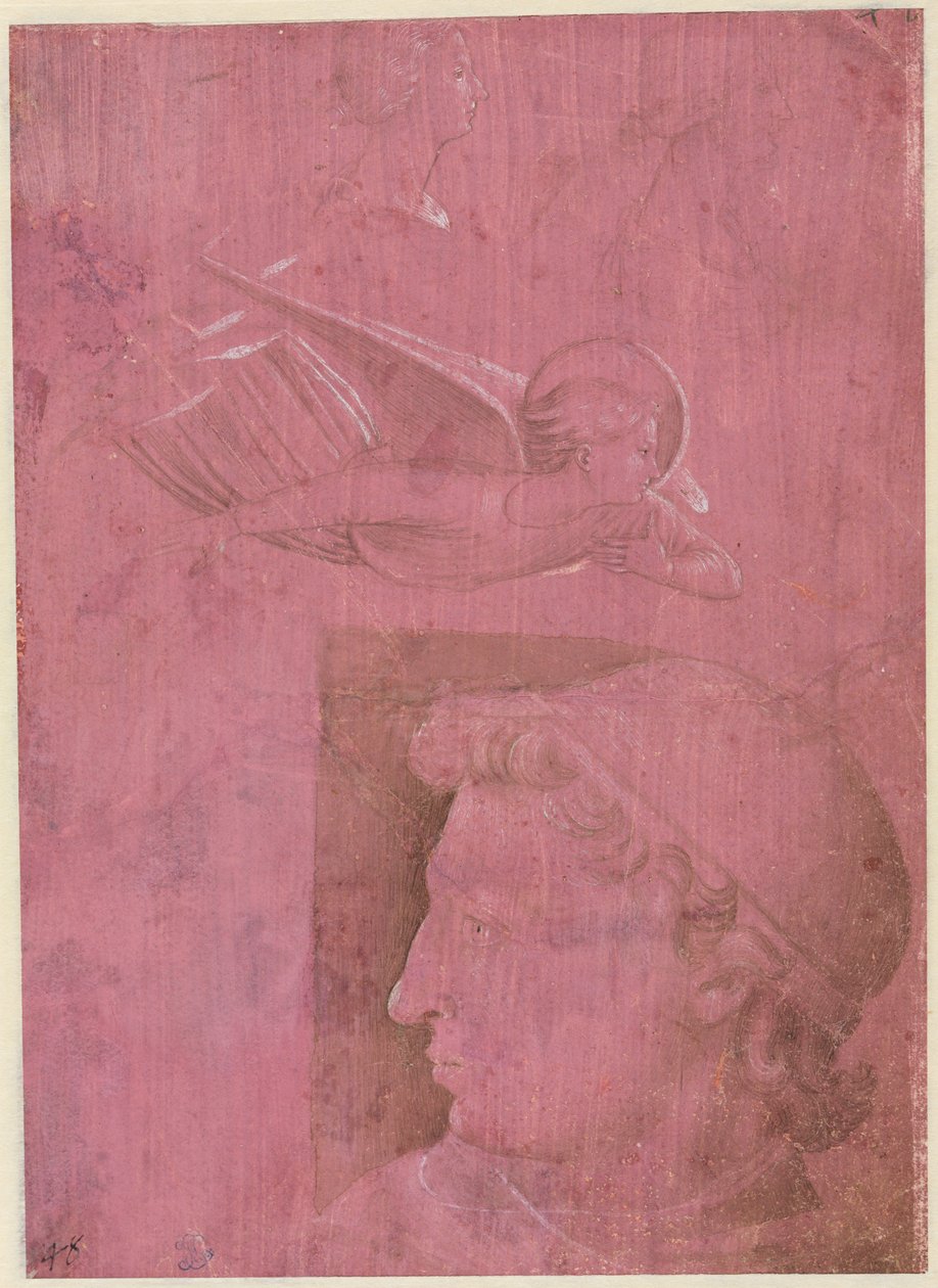 Kopf eines Mannes, zwei Studien eines Frauenprofils und eine Studie eines Engels (verso) von Benozzo Gozzoli