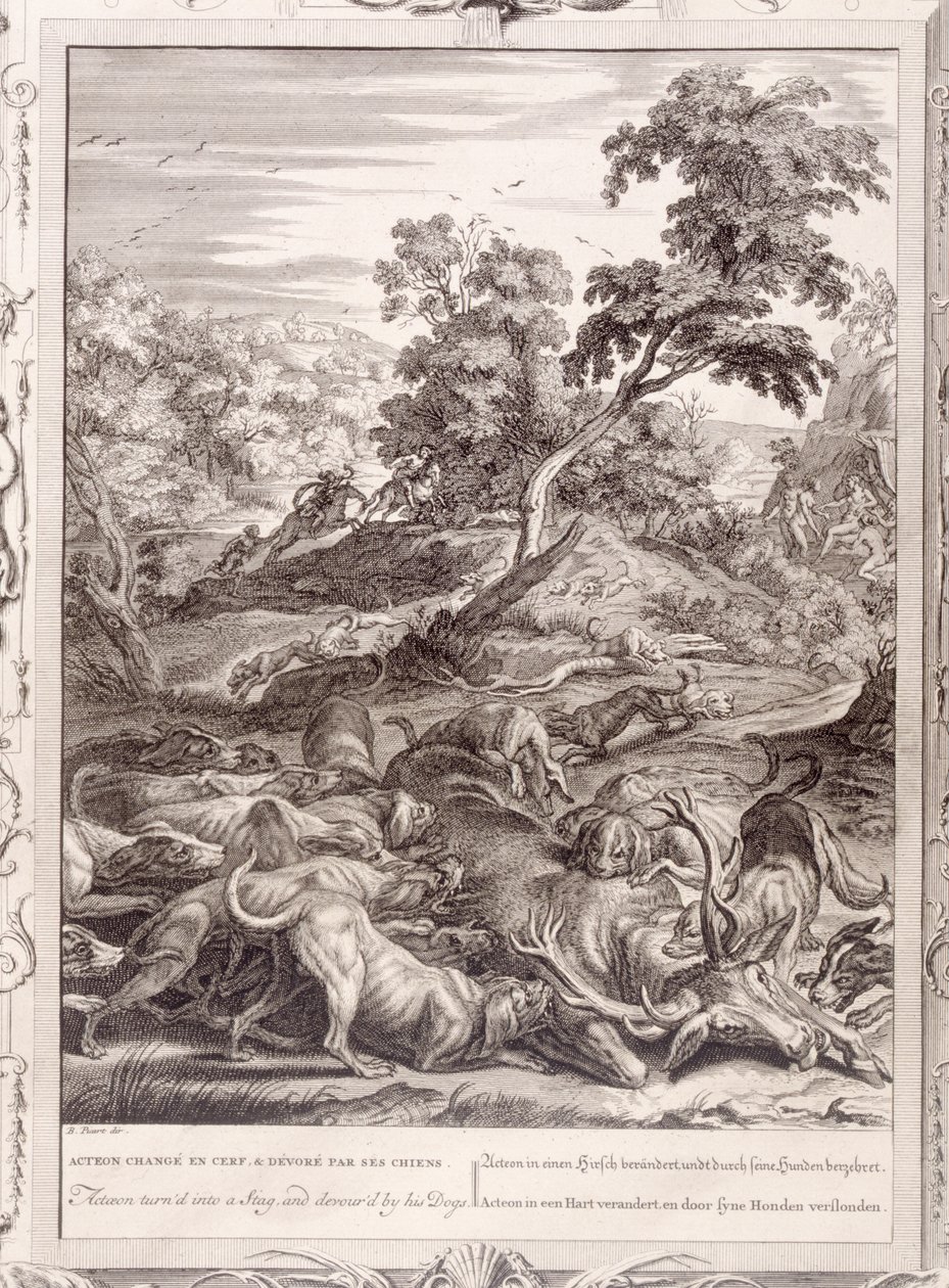 Actaeon wird in einen Hirsch verwandelt und von seinen Hunden verschlungen, 1731 von Bernard Picart
