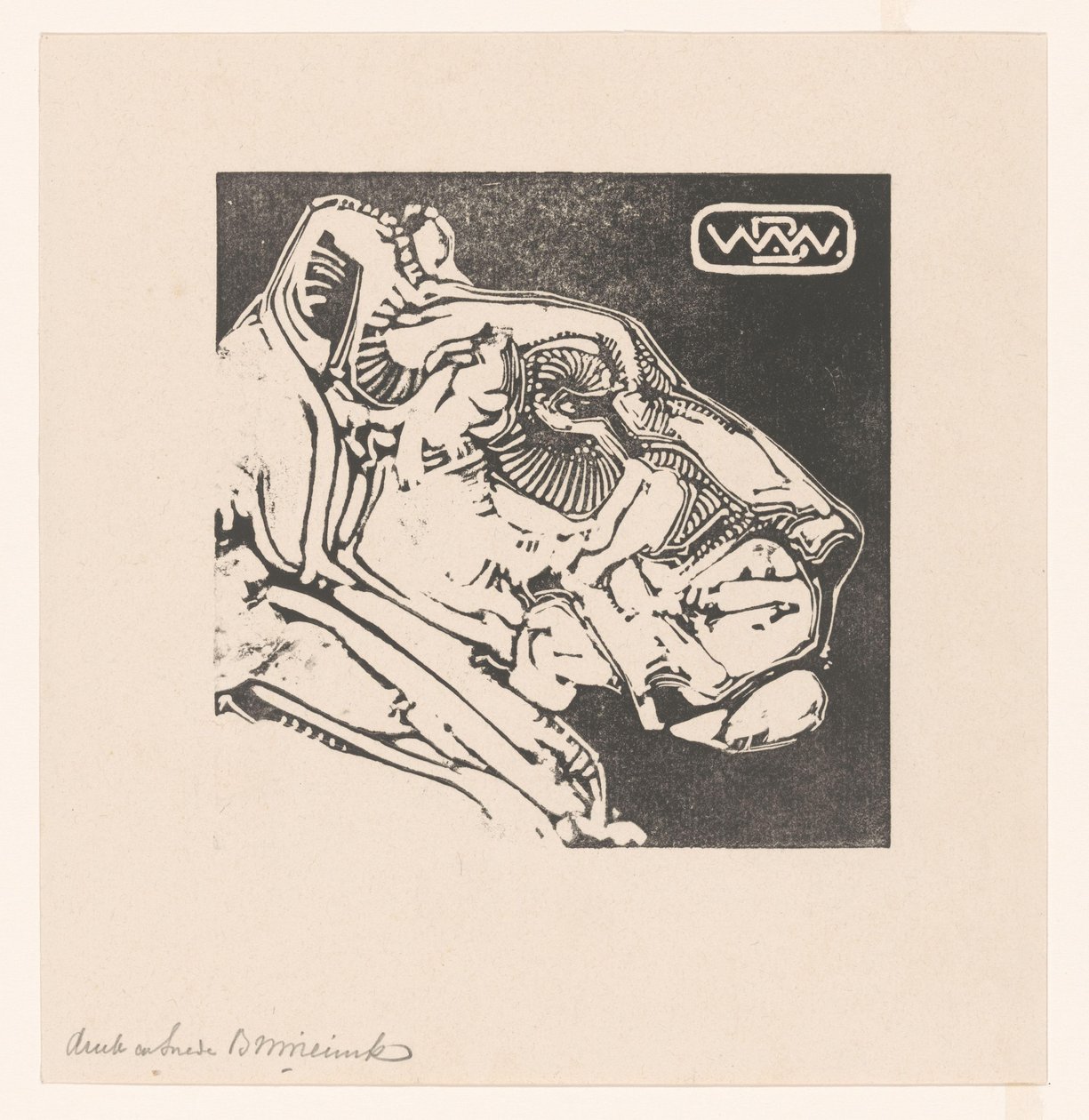 Kopf einer Löwin von Bernard Willem Wierink (signed by artist)