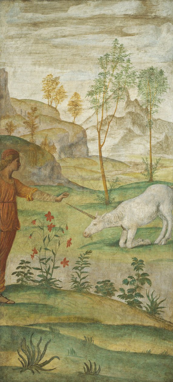 Procris und das Einhorn von Bernardino Luini