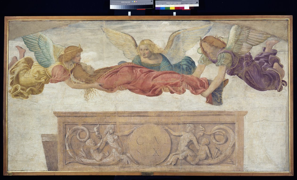 Der Körper der hl. Katharina von Engeln getragen von Bernardino Luini