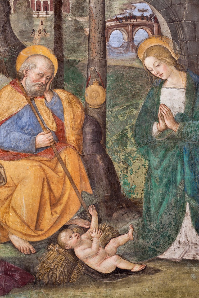 Anbetung der Hirten (Detail) Fresko von Pinturicchio (Bernardino di Betto) (1454-1513) 1484-1492, Kirche Santa Maria del Popolo, Rom, Italien von Bernardino di Betto Pinturicchio