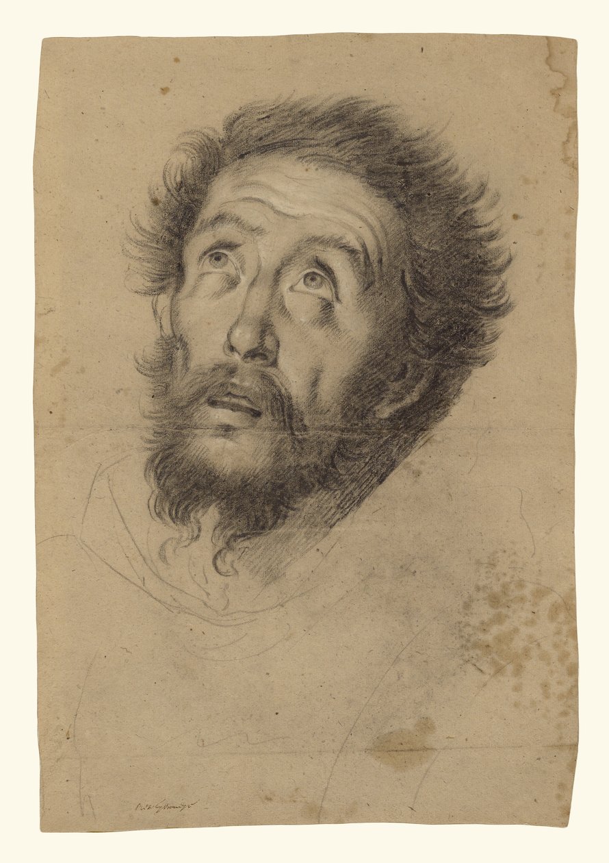 Kopf des Heiligen Franziskus (recto); Studien des Kopfes des Heiligen Franziskus, Kopf eines alten Mannes und zwei rechte Hände (verso) von Bernardo Strozzi