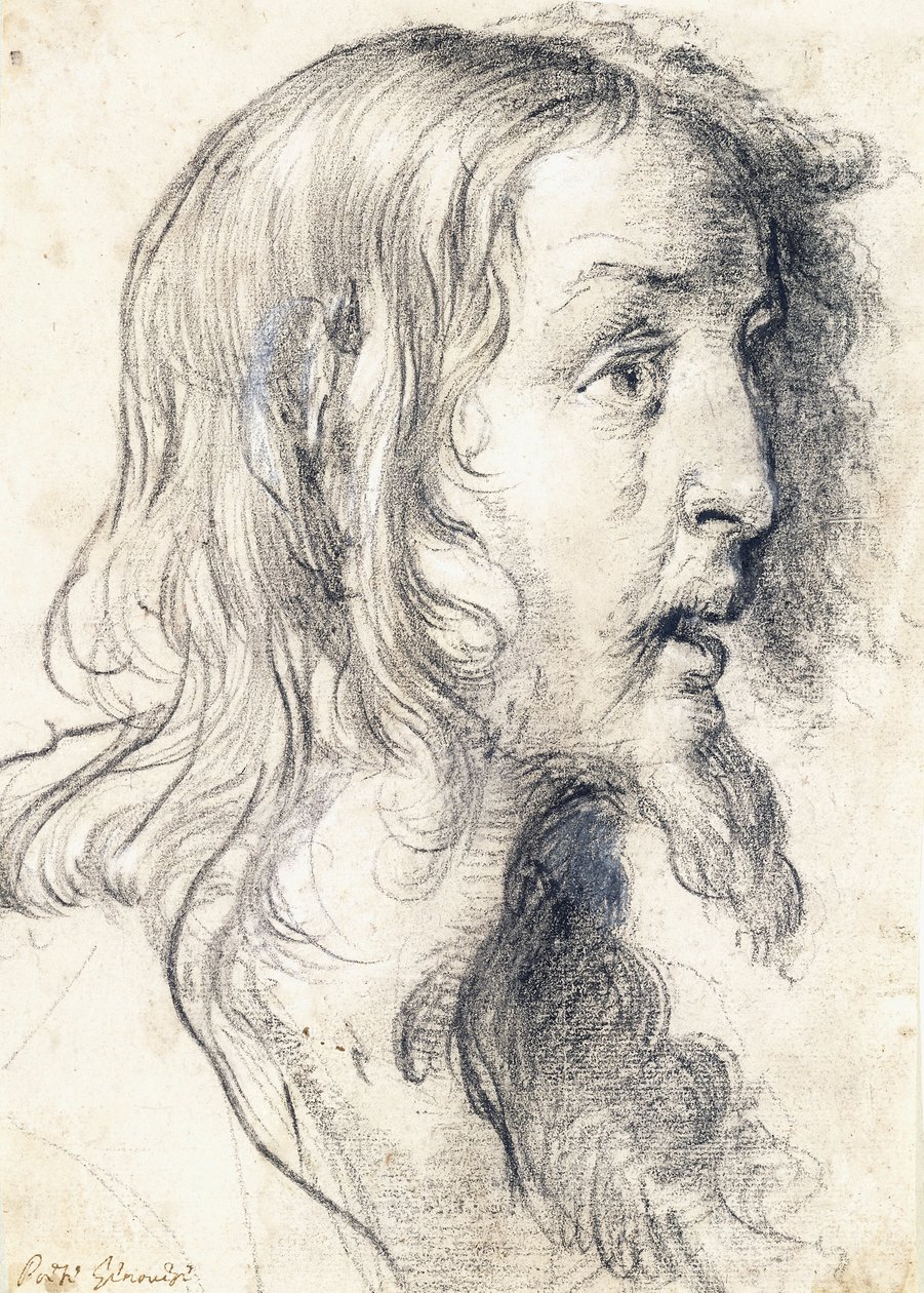 Das Haupt Christi im Profil nach rechts von Bernardo Strozzi