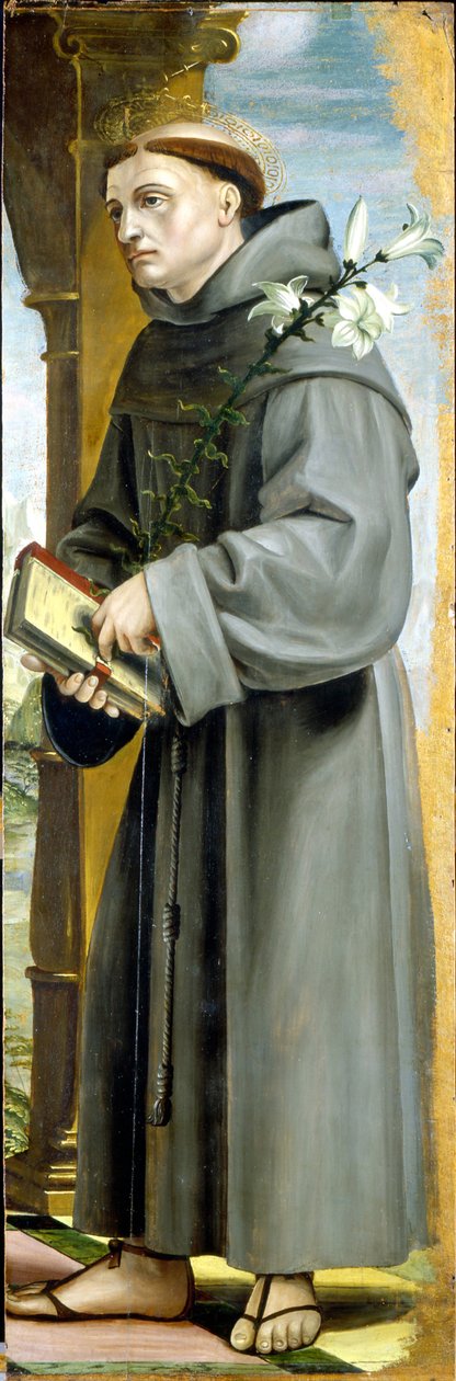 Heiliger Antonius von Padua von Bernardo Zenale
