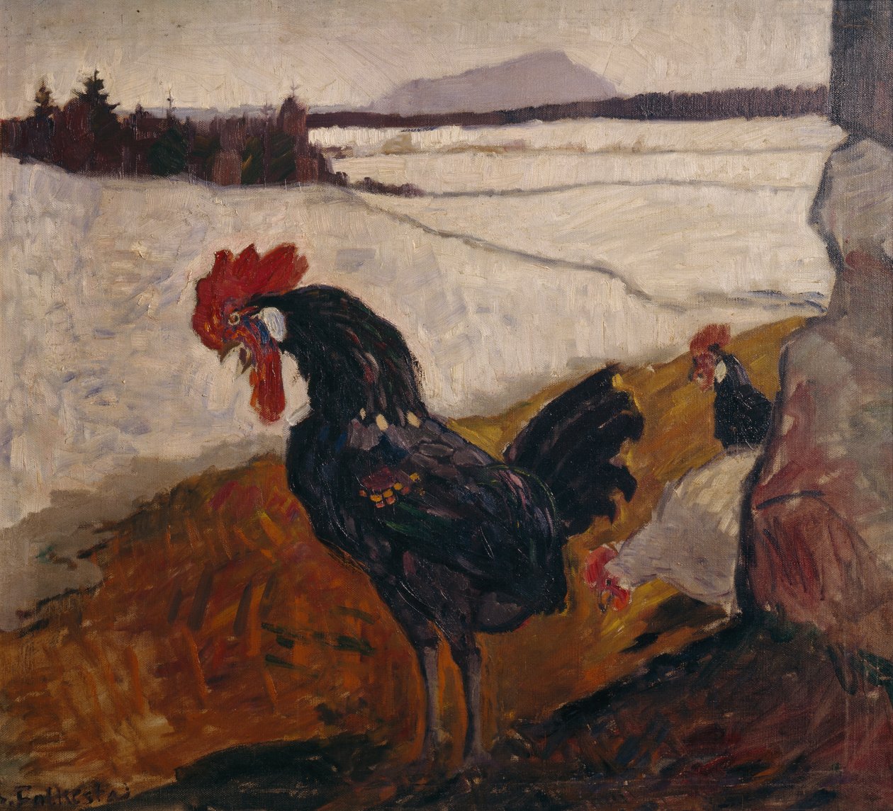 Hahn von Bernhard Dorotheus Folkestad