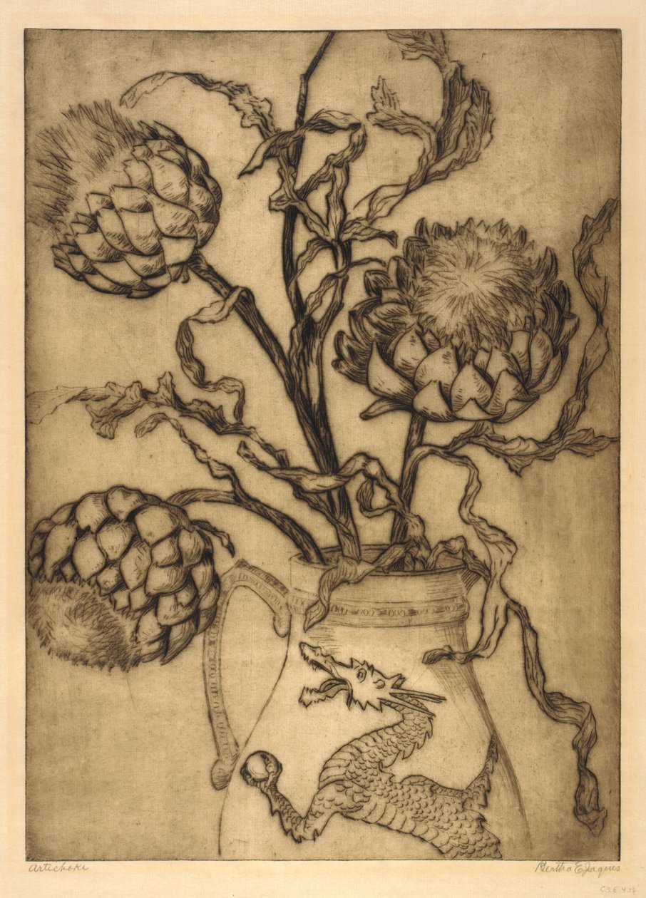 Artischocke von Bertha E. Jaques: hochwertiger Kunstdruck