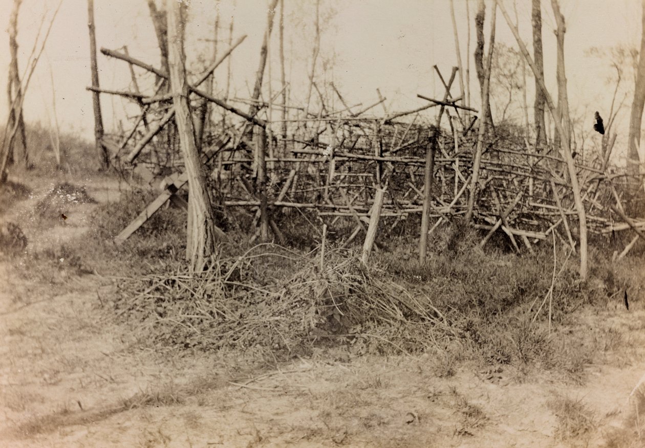 Album des Ersten Weltkriegs in Friaul-Julisch Venetien: Verteidigungshindernis (Spanische Reiter), 05/1916 von Bertoni Bertoni