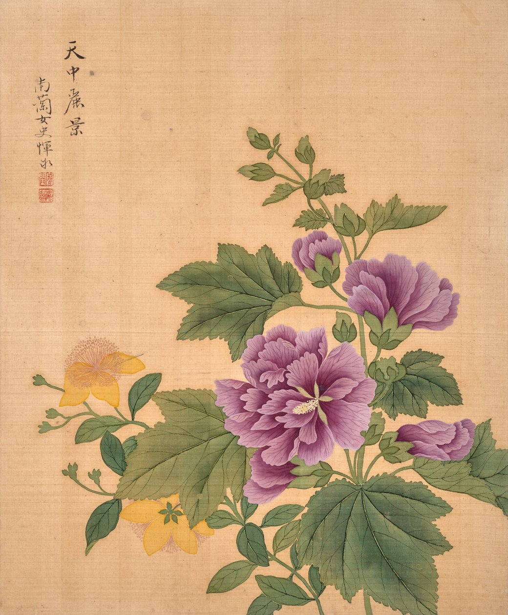 Blumenalbum von Bing Yun