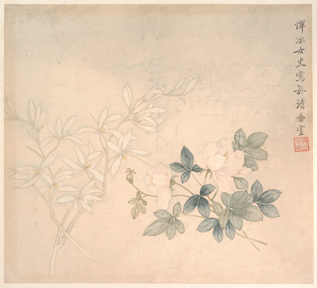 Blumenstudie von Bing Yun