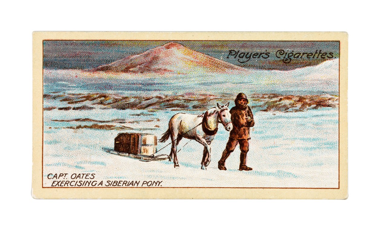 Kapitän L.E.G. Oates trainiert ein sibirisches Pony auf dem Meereis vor Cape Evans von British School