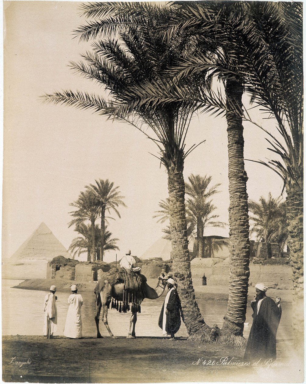 Palmenhain am Fuße der Pyramiden von Ägypten - Fotografie der Zangali-Brüder, Ende des 19. Jahrhunderts von Brothers Zangaki