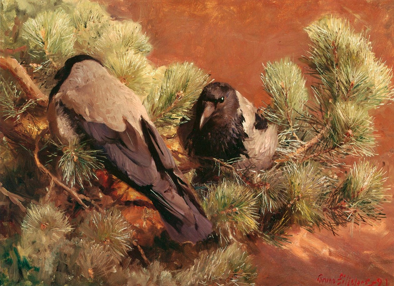Saatkrähen von Bruno Andreas Liljefors