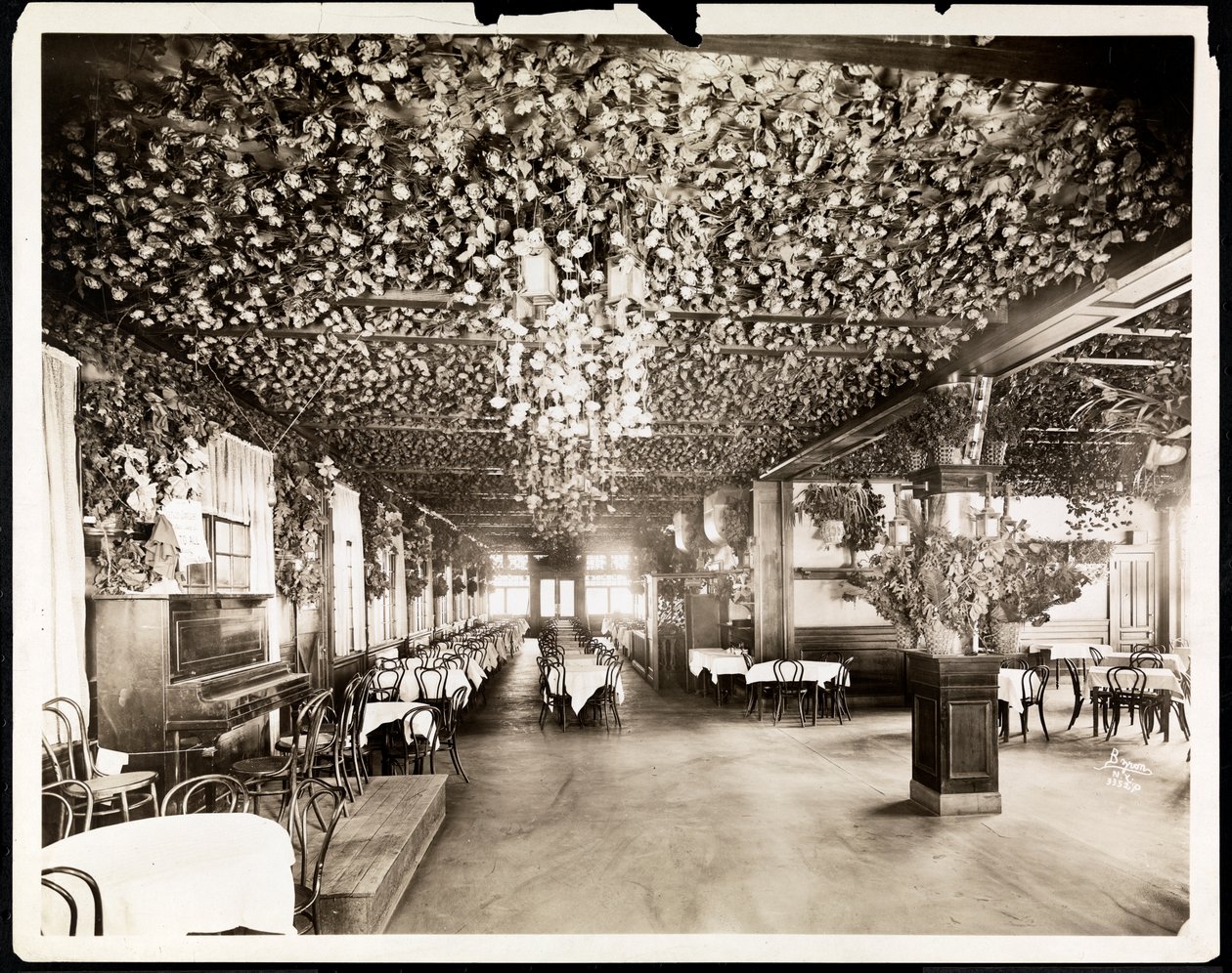Der Speisesaal im Hotel Dolphin, New York, 1915 (Silbergelatineabzug) von Byron Company
