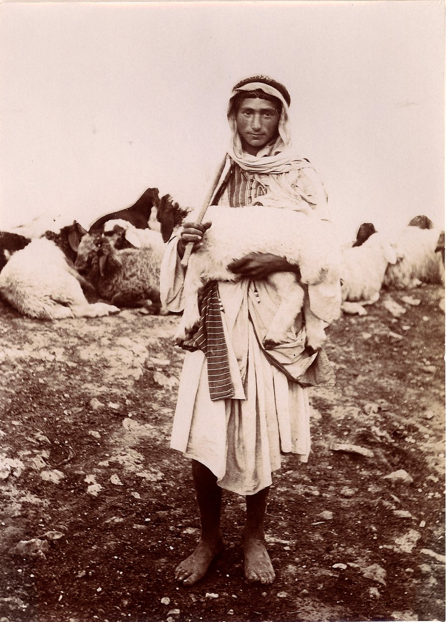 Ein Hirtenjunge trägt ein Lamm, c.1894-1914 von C.A. Hornstein