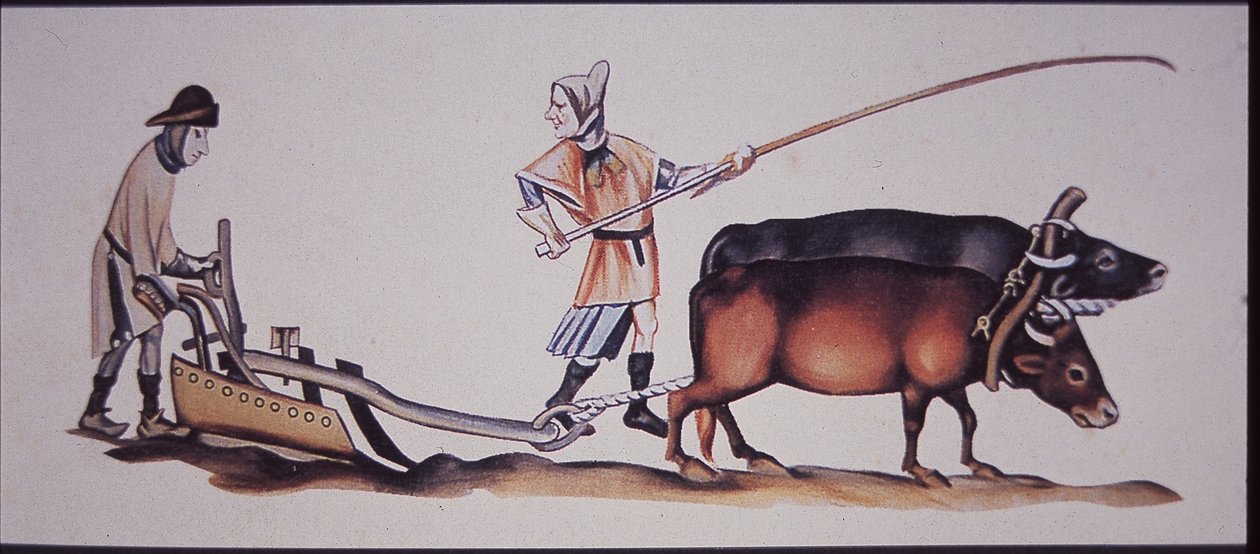 Mittelalterliche Männer pflügen mit Ochsen, aus einer Szene des Luttrell Psalters von J.B. and Brown J. Rowbotham