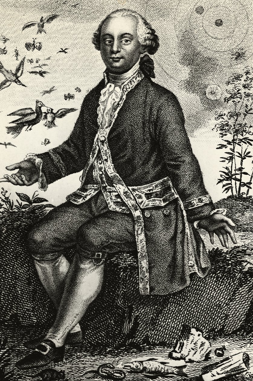 Porträt von Georges-Louis Leclerc de Buffon (1707-1788), französischer Naturforscher und Mathematiker, Gravur von J.B. and Brown J. Rowbotham