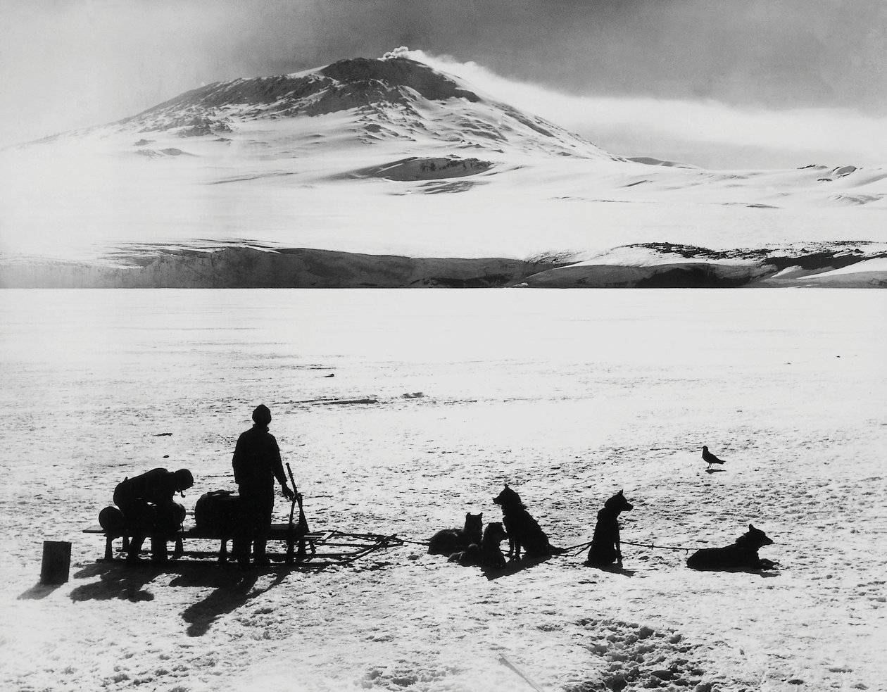 Südpol-Expedition von Robert Falcon Scott (1868-1912), Forscher vor dem Erebus-Vulkan auf der Ross-Insel, 15. Januar von J.B. and Brown J. Rowbotham