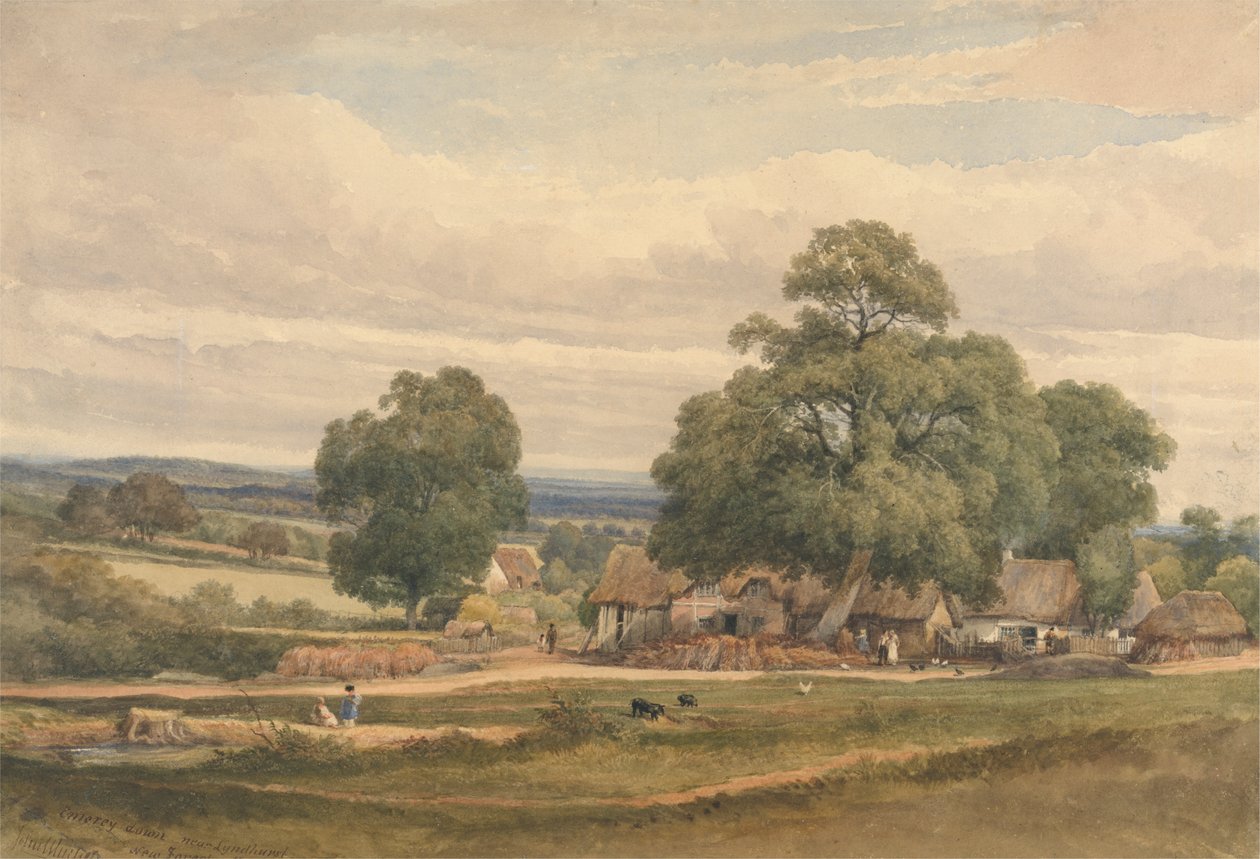 Emerey Down bei Lyndhurst, New Forest, Hants von C. John M. Whichelo