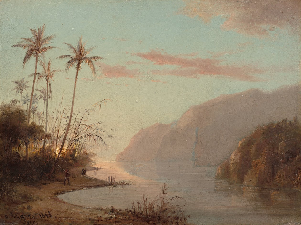 Ein Bach in St. Thomas, Jungferninseln von Camille Pissarro