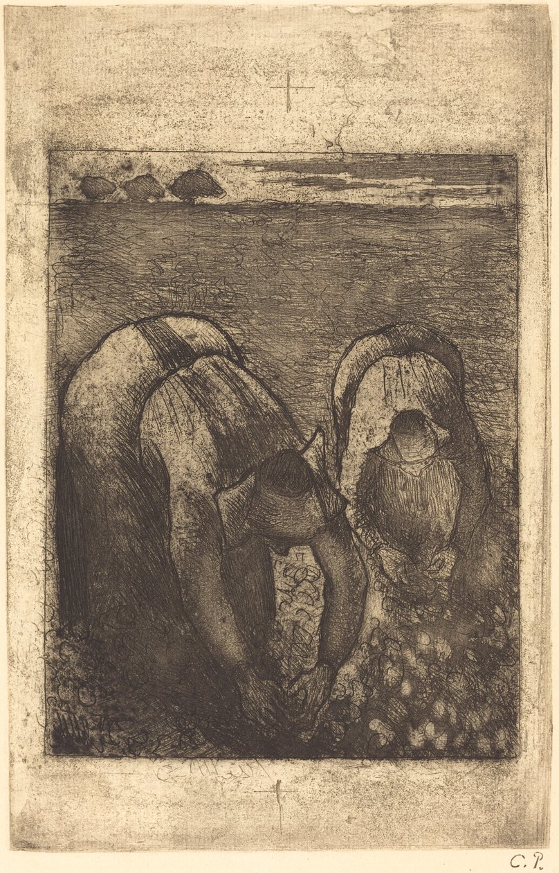 Bauern in einem Bohnenfeld Paysannes dans un champ de haricots von Camille Pissarro