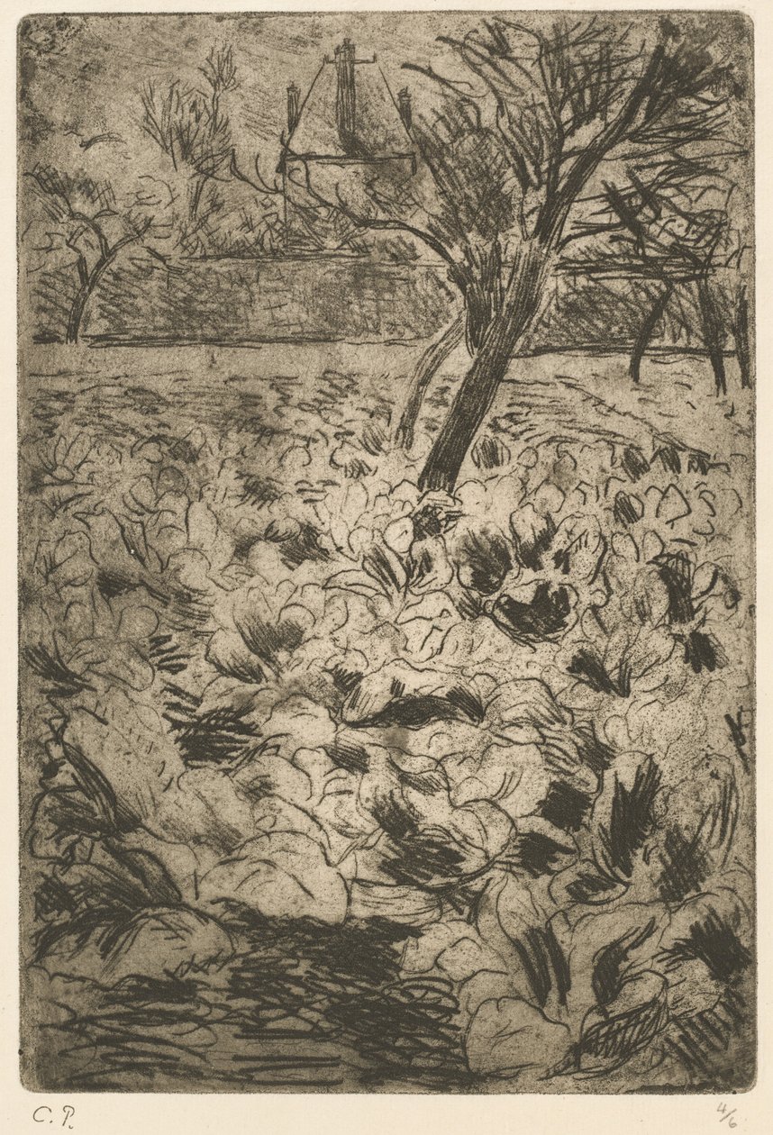 Das Kohlbeet, ca. 1880 von Camille Pissarro